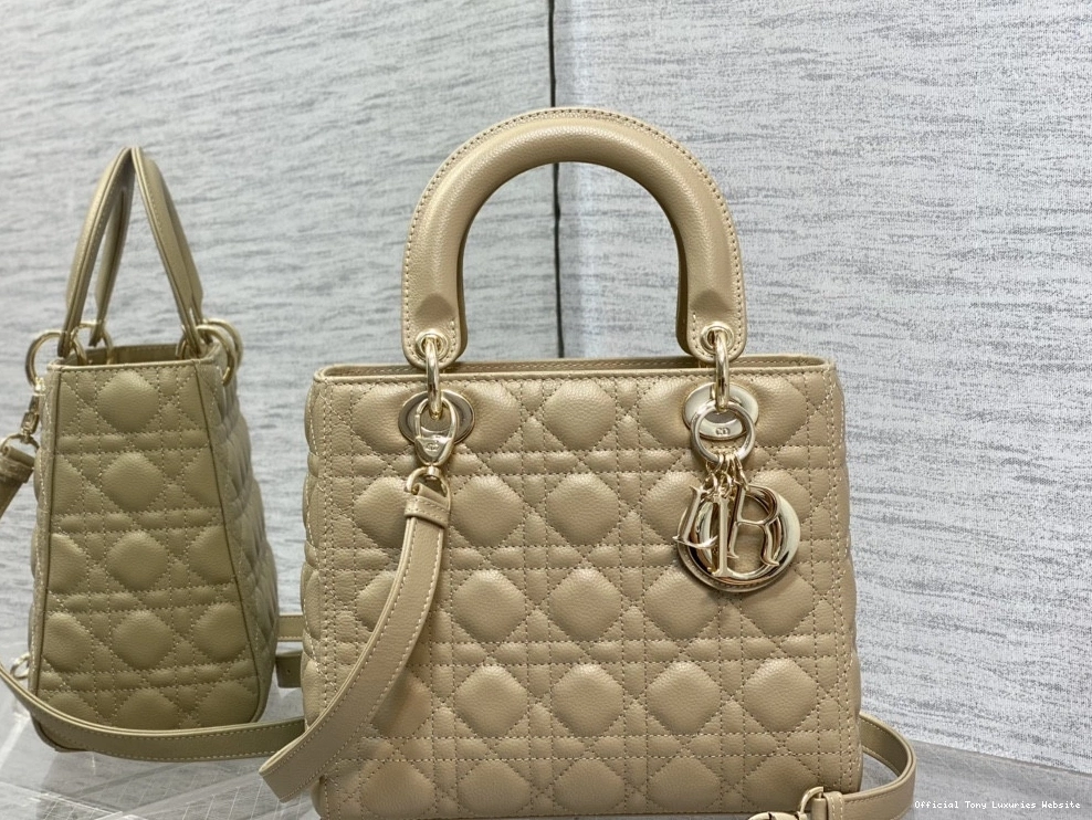 Tony Luxuries Gold Lady Calfskin-24cm diro large 0803